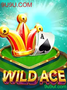 WildAce: A Evolução dos Jogos de Cartas Online